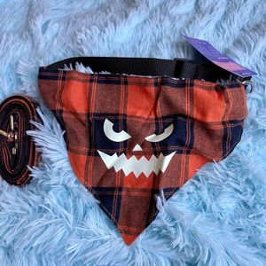 Jack o lantern dog scarf collar and leash set for fall holidays. Halloween